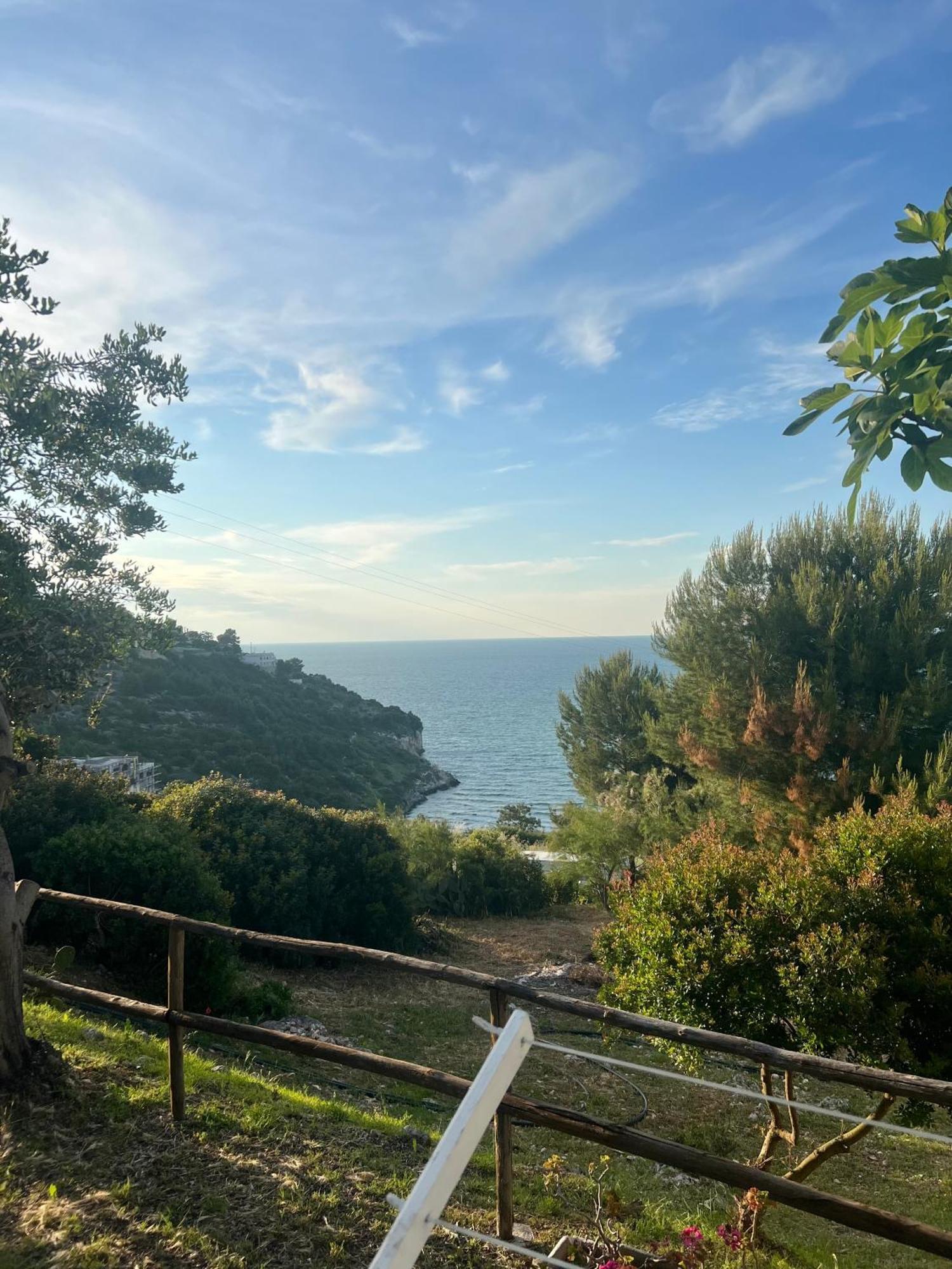 Trilocale 2 Sul Mare Daire Peschici Dış mekan fotoğraf